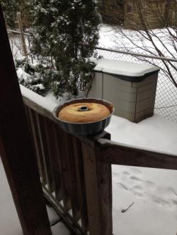 trashrabbits:  trashrabbits:let cake cool for 15 minutes? how about 2 minutes in the snow follow for more lifehacks  WJSHDFBXJKVLB