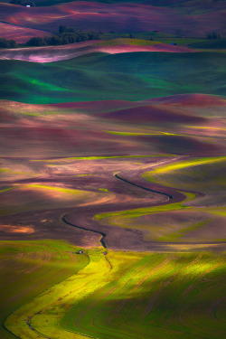 drxgonfly:  The Palouse_Tapestry Of Colors (by kevin mcneal) 