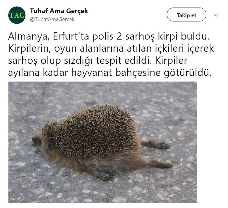 Almanya Erfurt'ta polis 2...