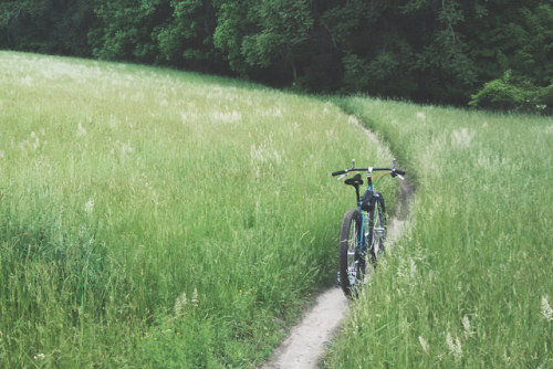 kinkicycle: Violet doin’ me right at Rosaryville by eccentricVelo on Flickr.