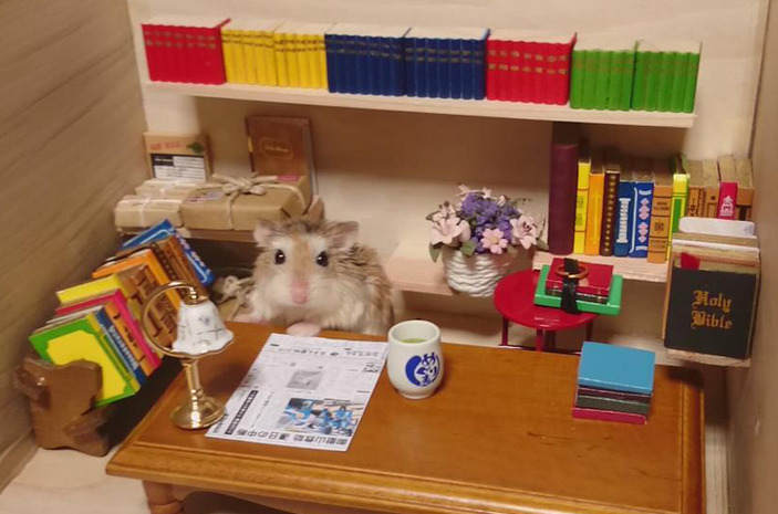 jesus-is-cumming:  black—lamb:  mayahan:  Little Hamster Bartenders Serving Tiny