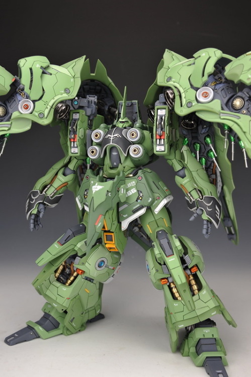 XXX toysmaniac:  1/100 NZ-666 Elyn Kshatriya photo