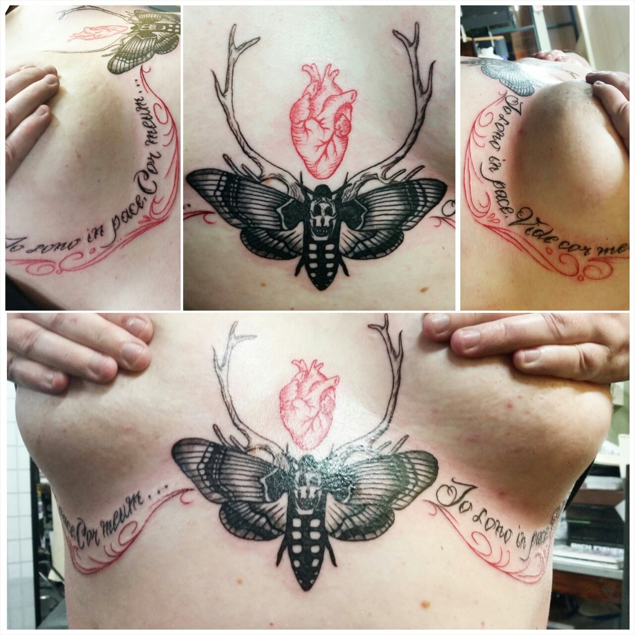 silence of the lambs moth tattooTikTok Search