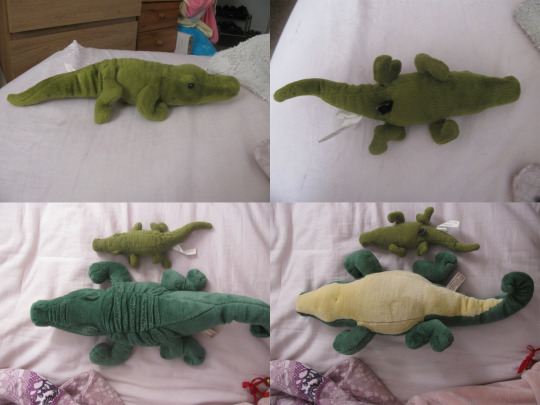 Porn WANT TO BUY: THIS PLUSH CROCODILE photos