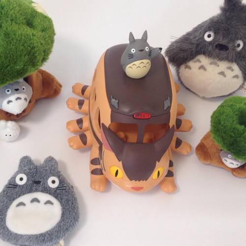 All the Totoros and a Catbus these are part of our special Japan stock now available to order throu