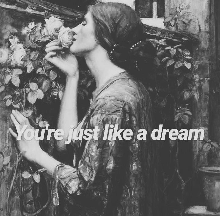 midnightwildsirens:Just Like A Dream. @slendershadow1 