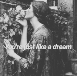 midnightwildsirens:Just Like A Dream. @slendershadow1 