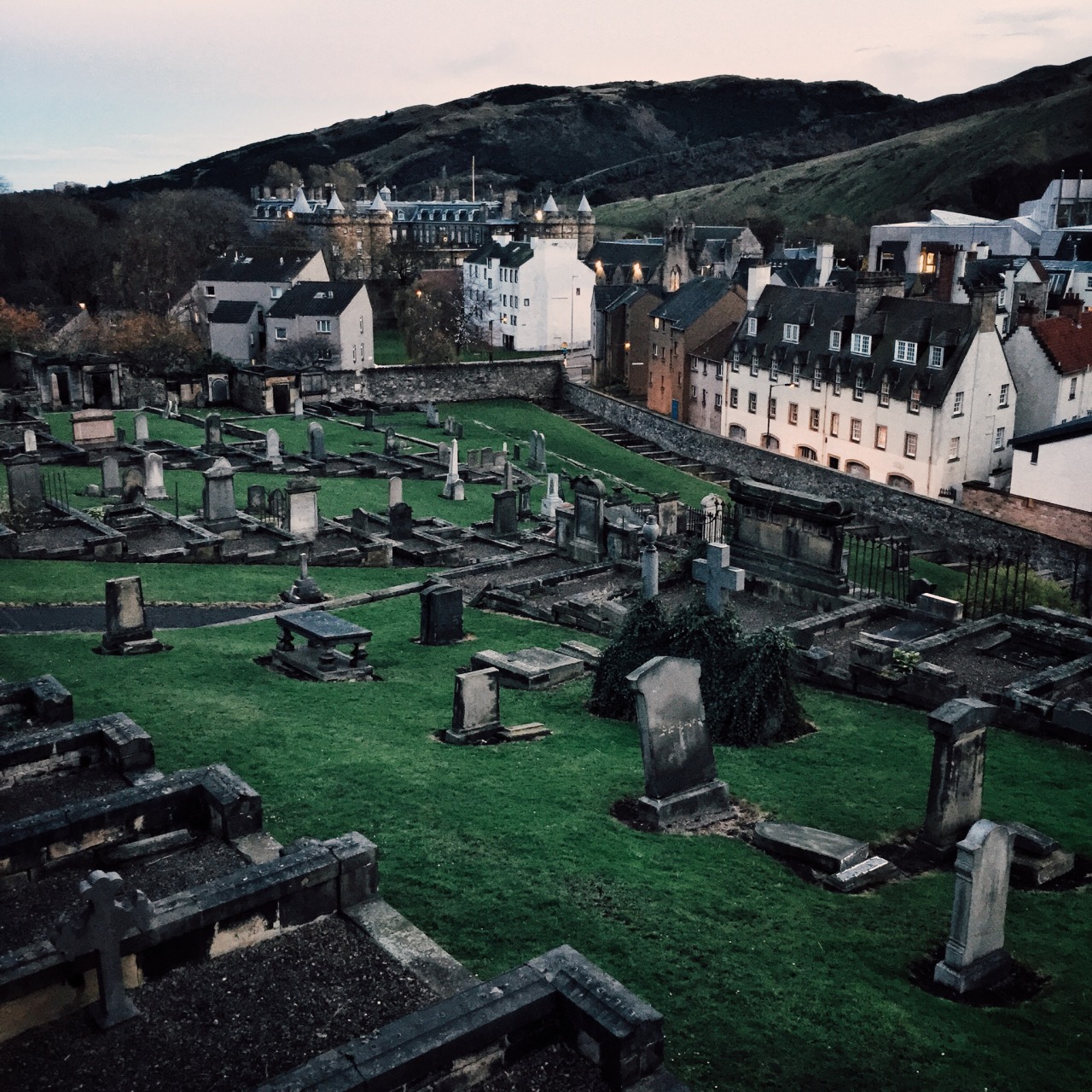 danielodowd:  portermcknight
