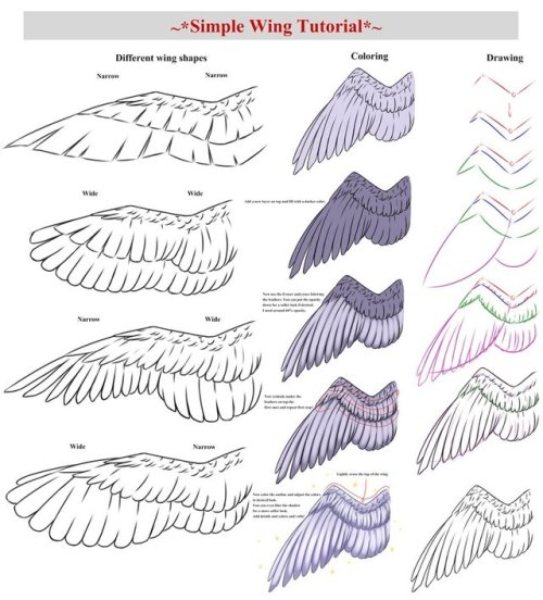 drawingden:Simple Wing Tutorial by CrimsonxScorpion 