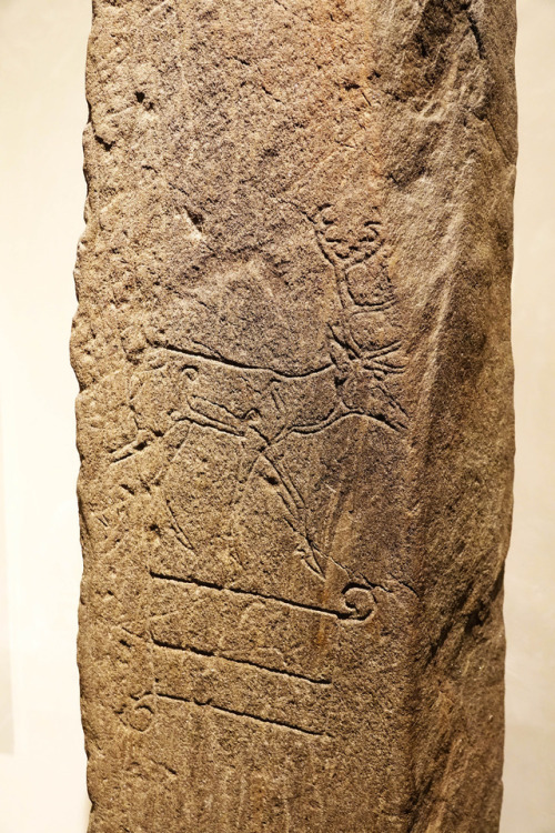 Carved Deer Rock Art, 10th century CE, National Museum of Scotland, Edinburgh, 11.11.17.