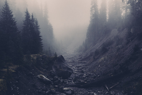 lifeinmotion84:Nature