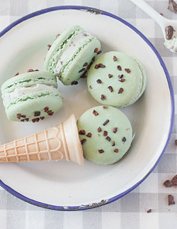 milkeu:  mint chocolate chip macarons - ⋆