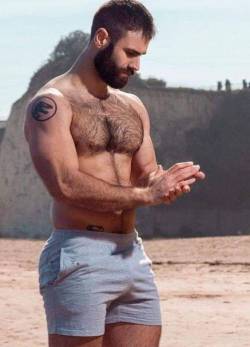 Hairy gay men