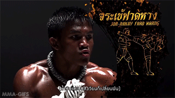 kungfutaichworld:    Muay Thai is referred to as the “Art of Eight Limbs”.  