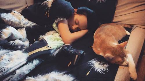 Малыши спят, тссс… #любимаяжена #love #family #sleep #cat #рыжийкот #happynewyear #firstday20