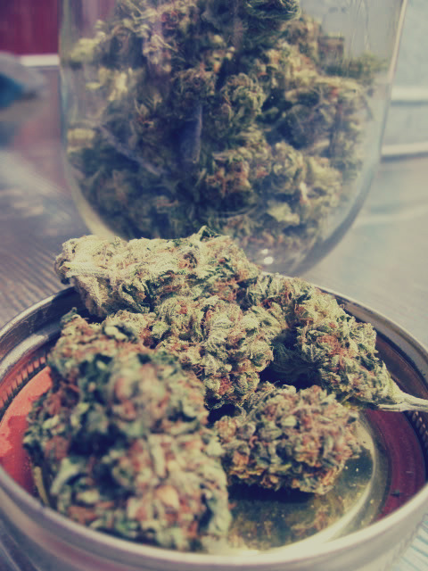 Into A Stoner's Mind!
