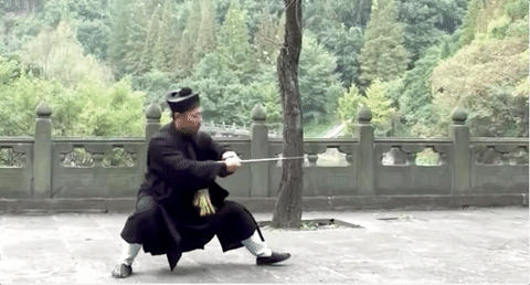 gabuwingchun:  Wudang Taiji Jian by Grandmaster Zhong Yun Long