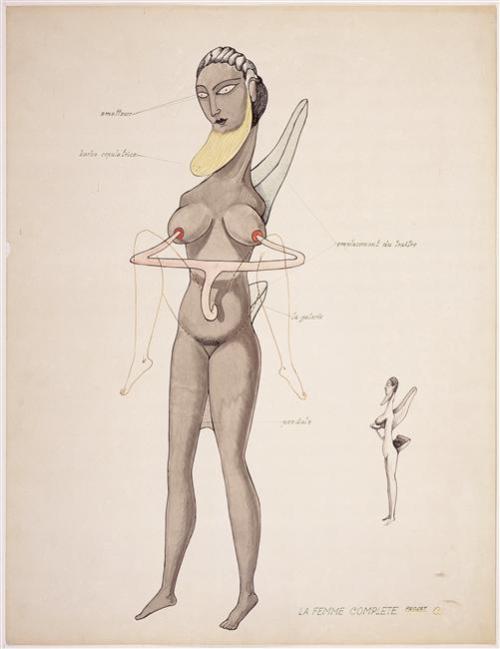 artist-brauner: The Complete Woman (Project C), 1936, Victor Brauner Thank you @artist-brauner