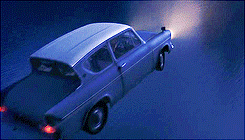  “It is our choices, Harry, that show what we truly are, far more than our abilities.”       