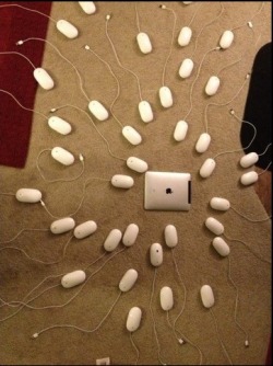 grandst:  This is how Macs are born.  