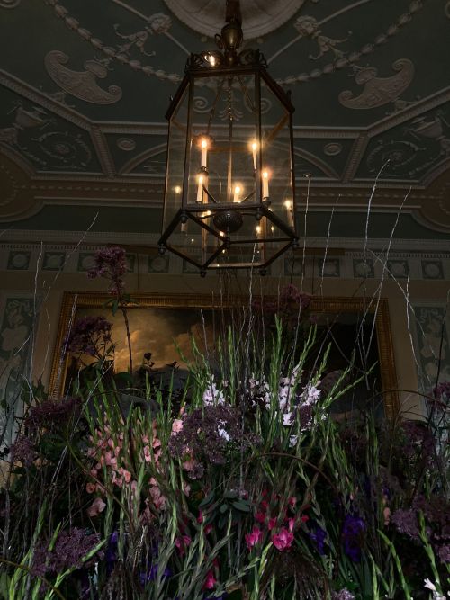 IVE NEVER FELT MORE WHIMSICAL AND FAIRYTALE ISH BEFORE EVER I Think I Would Thrive Here If You Left Me