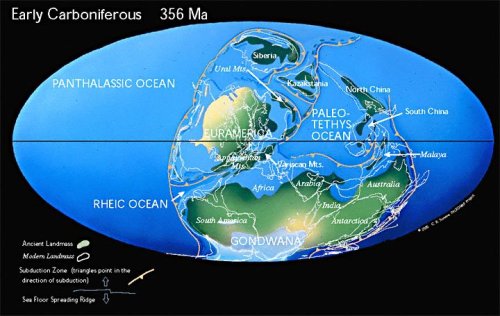 The Carboniferous Period The Carboniferous period, which stretched from 359-299ma (Please see www.st