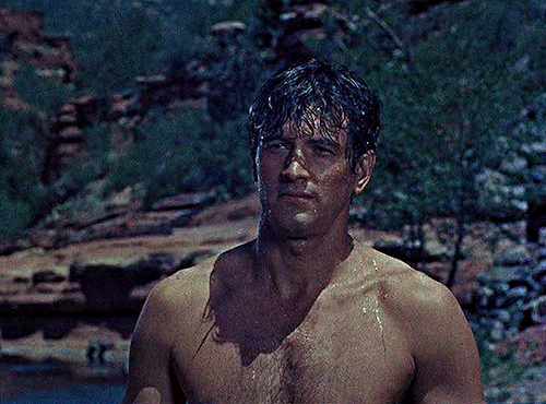 Rock Hudson As Ben WarrenGun Fury (1953) Dir. Raoul Walsh