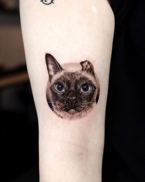 ig: tattooist_yeono cat;portrait