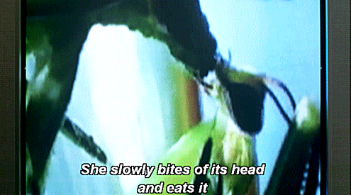 same