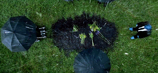 marvelgifs:  You didn’t come here looking for answers, you came here looking for