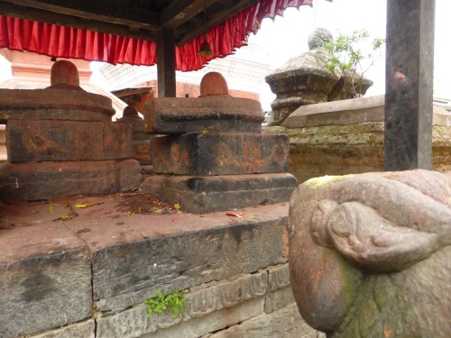 Nandi and Shiva lingam at Panauti, Nepal