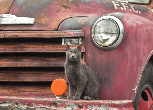 Harper’s Ferry, WV (by juleann on mv)