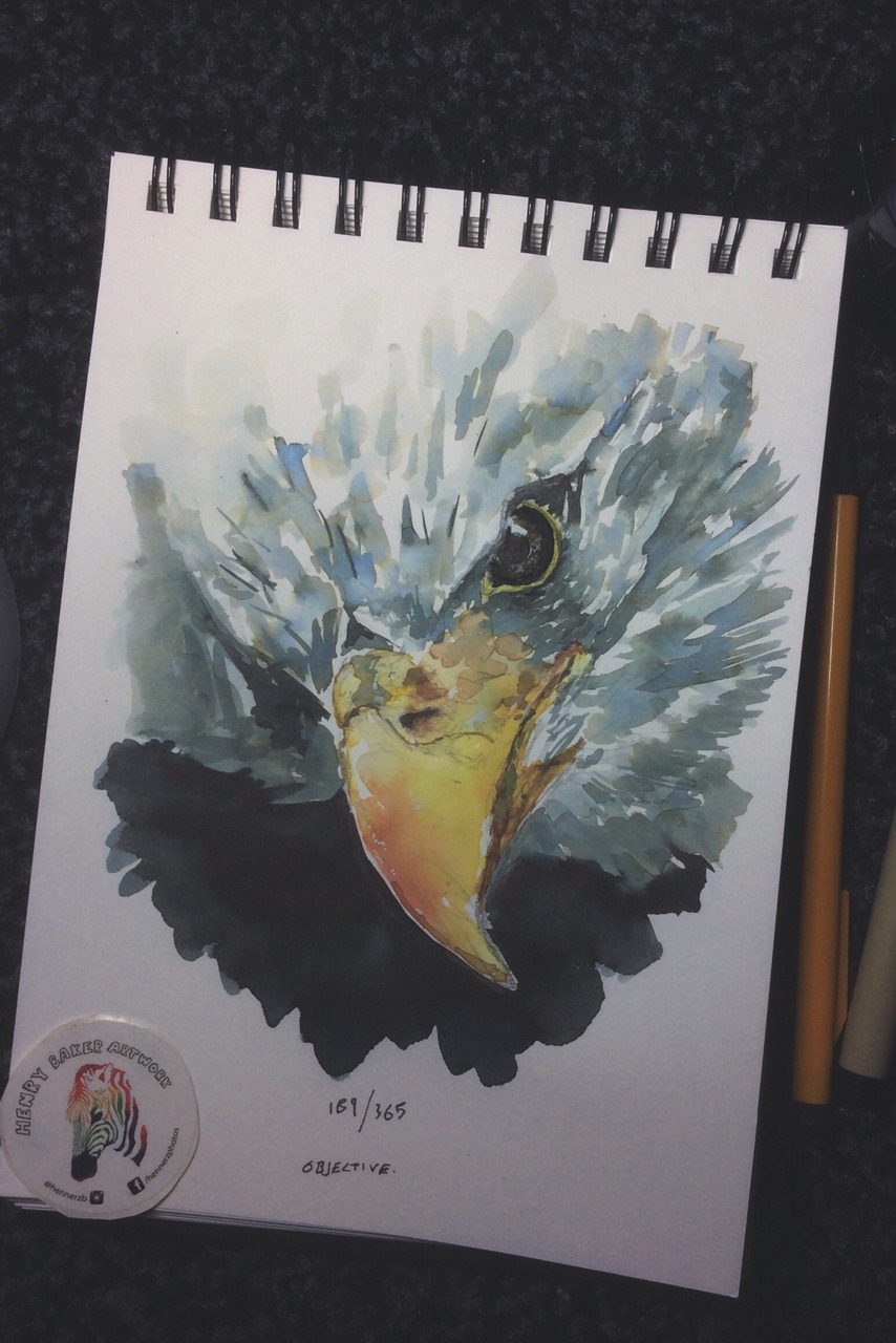 hennerzartwork:  189/365 - Objective - Drawing 365 Take 2 By Henry Baker Facebook
