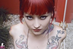 sglovexxx:  Krito Suicide