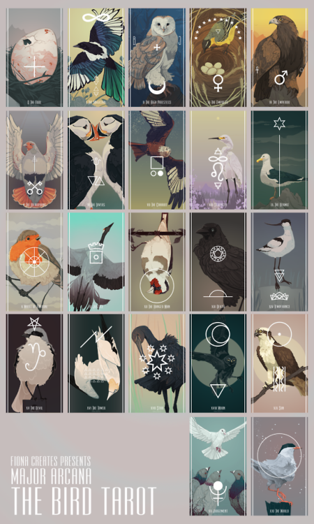 fionacreates: The Bird Tarot - Complete Major Arcana FAQs Will you print the Bird Tarot? Hopefully. 