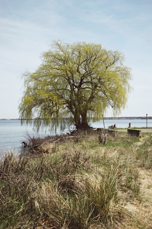 Springtime in Muskegon, MI - April 2017© Matt Allard