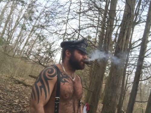 Sex bullmoosewv:  Hot, hairy musclepup 😈 pictures