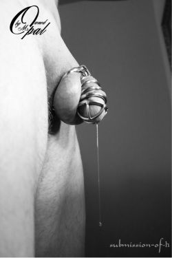 submission-of-h:  Kept well edged, locked and denied….. part of my Owners methods to insure my devotion and submission to Her, validated by the physical manifestation of my ache for Her control.Only for Her@opal-ceo