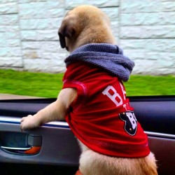 ihugpugs:  Dog Lover Shirts: http://bit.ly/1sIvs6I