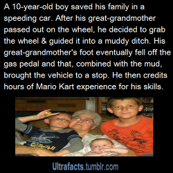 reapergirl14:ultrafacts:His name: Gryffin SandersSource For more facts, follow Ultrafacts  Mario Kart: the early stages of driving