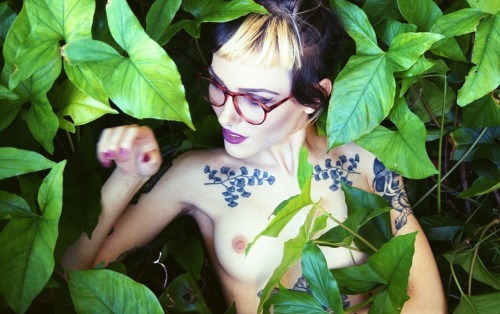 flowerfingers: February 21, 2016.  Like a plant I am trying to grow.
