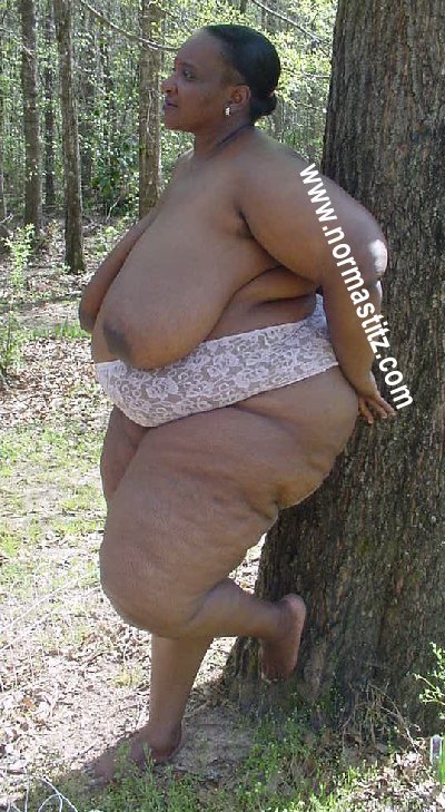 technospatluvbbw:  BBBW