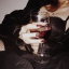 liversnlace