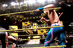 fyeahnxt:  NXT Takeover Sami Zayn vs. Tyler Breeze   The best out of NXT Takeover!