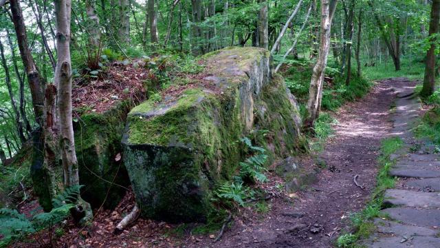 A Mossy Boulder.