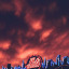 dragontooth3456