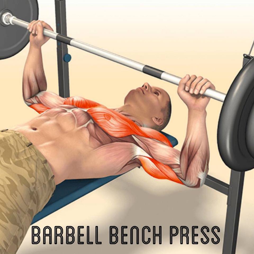 taichi-kungfu-online:  strong muscle from every day