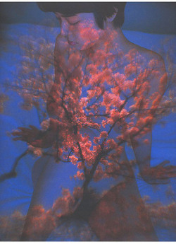 vivipiuomeno1:Yagi Saori (Saori Yagi) nude image, lips by katsumi omura 1994