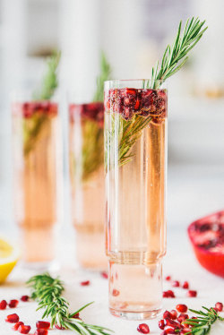 boozybakerr:Pomegranate Rosemary Spritzer