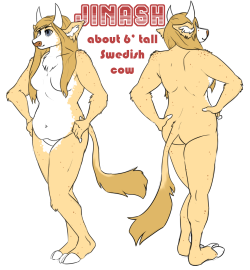 new ref